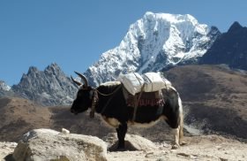 top-5-most-visit-place-in-nepal